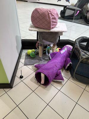 Do you need a cat play tunnel shaped like a purple alligator?