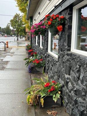 Exterior flowers