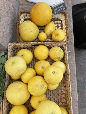 Farm to farm stand lemon