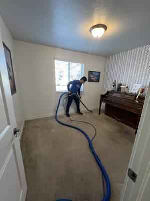 Expert Carpet Cleaning