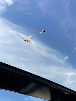 And the bird poop is still on my sunroof.  :(