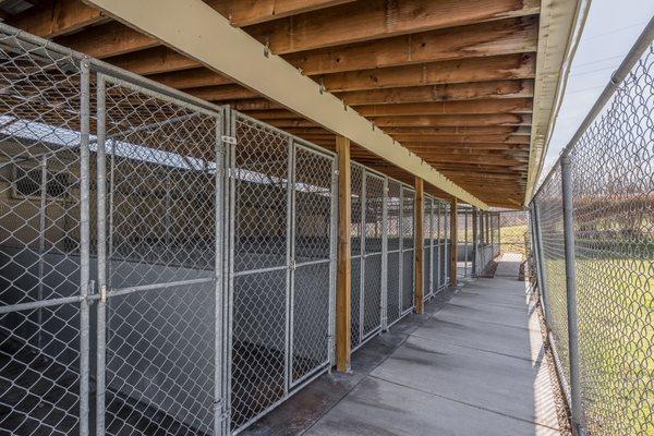 Boarding Kennel private outdoor runs