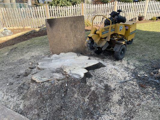 Stump Grinding in Weymouth Ma