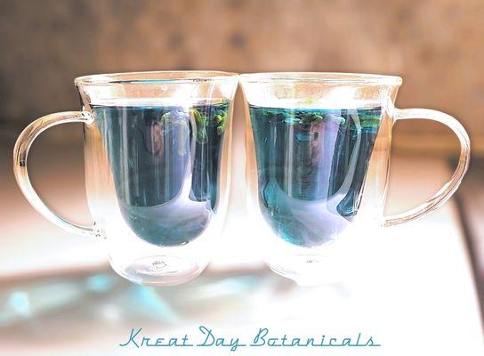 Blue Butterfly Pea Flower tea! Wonderful, vibrant colors with added health benefits!