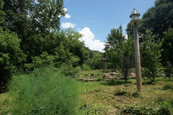 Garden area with a large bird house