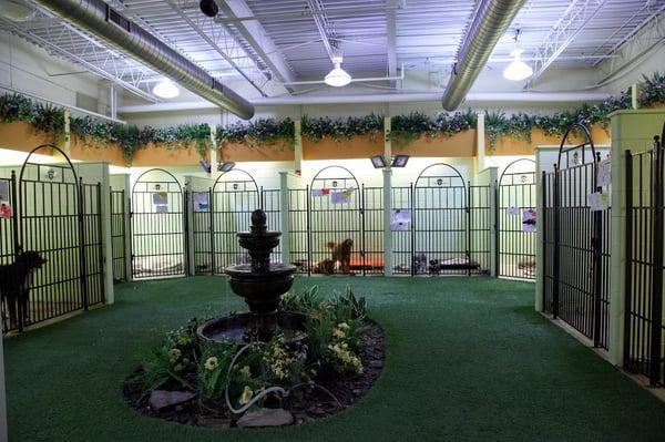 Barkley Park at The Barkley Pet Hotel & Day Spa® in Cleveland, Ohio.