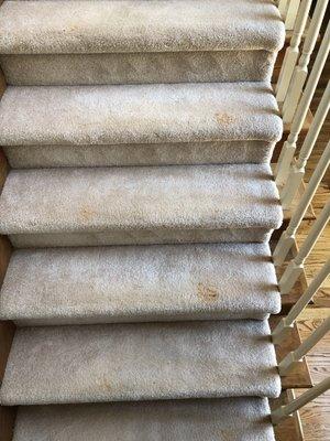 Muddy footprints on the stairs