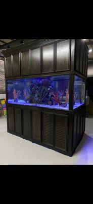 Aquarium Maintenance