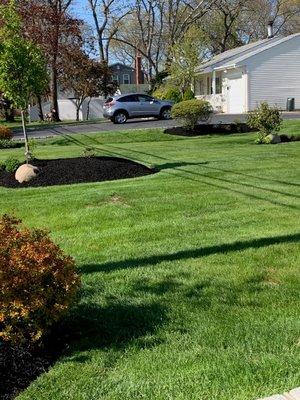 Sweet Leaves Landscaping and Tree Services