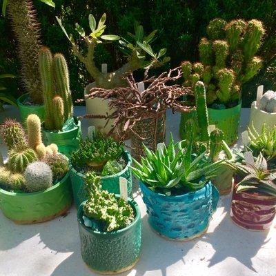 Fabulous ceramic planters by Rick Van Dyke, artist at the show