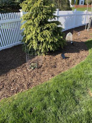 Mulch provided by Lumberjacks