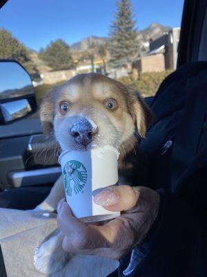 We had Starbucks after our ER Visit! Thank you for taking care of me