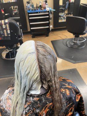 Two tone .... Platinum blonde and chocolate brown...