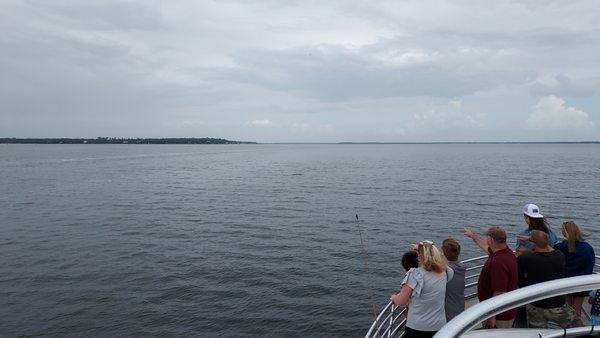 Cruising the bayou.