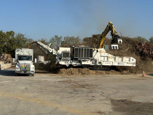 One of our mobile grinders is doing what it does best: taking green material and brush and turning it into usable organic material.