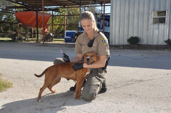 Pflugerville Animal Shelter