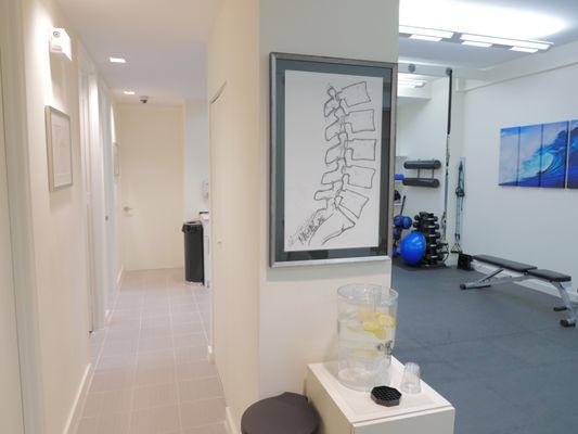 Network Spine Osteopathic Practice Interior - www.networkspine.com