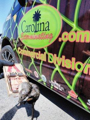 We are hard at work keeping the restaurants of the Lowcountry pest and rodent free!