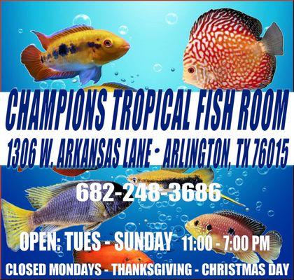 Champions Tropical Fish Room