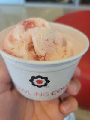 Cherry Vanilla single scoop in a cup