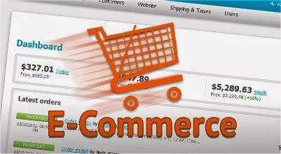 Want to sell online. We can build your store!