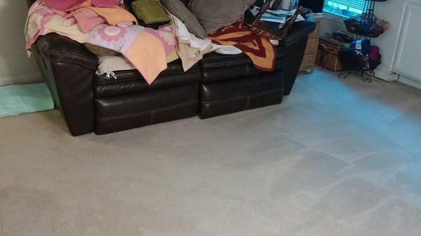 Austin Carpet Cleaning Job After