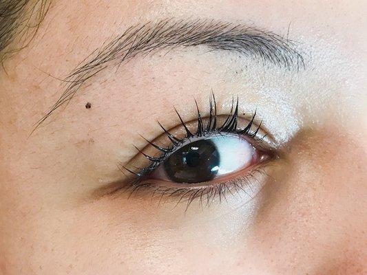 Lash Lift