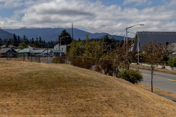 Live (or b&b) on the way to the Olympic National Forest; Lakes Crescent & Sutherland; Marymere Falls; Washington west coast #portangeles