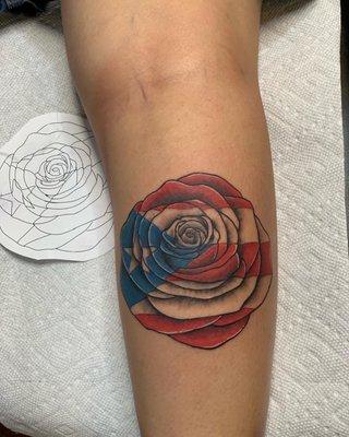 Puerto Rico rose by Tattys_by_Trent