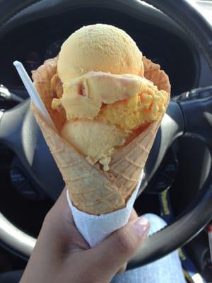 Reeses pieces on top, custard on bottom in handmade waffle cone. Yum!