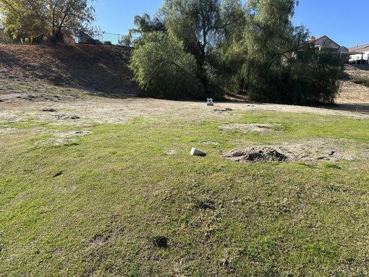 Tee Box #13. EVERY Tee box is in this condition or much worse.