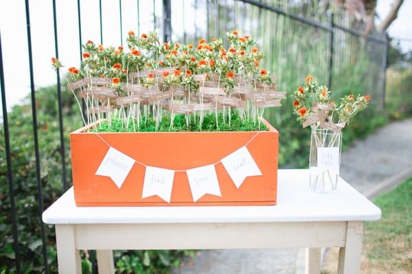 Lovely vintage furniture from Three Sisters was absolutely perfect for our wedding. Thank you so much for letting us use it!!!