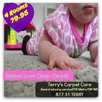 Terry's Carpet Care