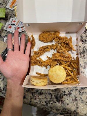 "5 Tenders"