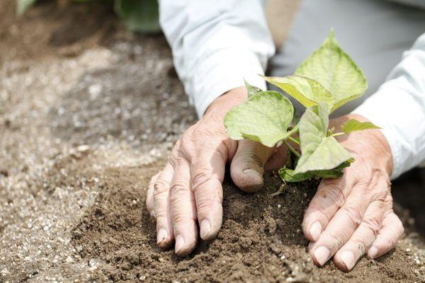 Assisted Living Facilities in Cameron Park CA