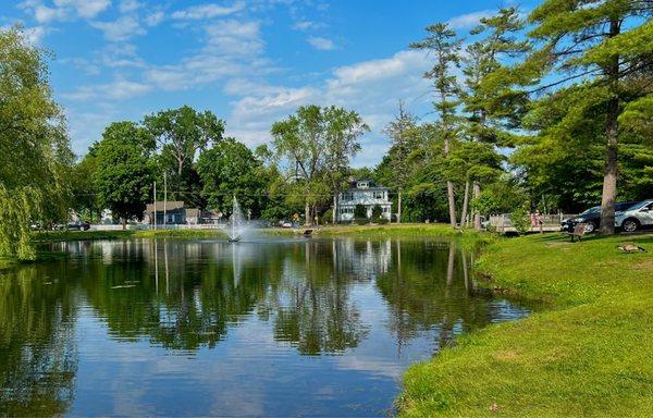 fountain, lake, geese, ducks, trees, houses, cars, people