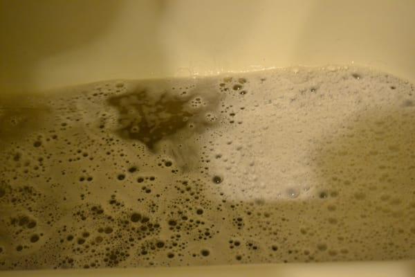 This is the water that from when we cleaned one hour AFTER Eco cleaned "cleaned"