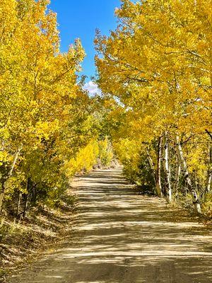 There's endless trails all around us that will get you as far back into the back country as you want. Trails for jeeps and cars