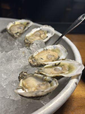 Oysters