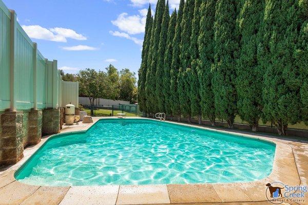 Our dog swimming pool with one of the play yards in the background.