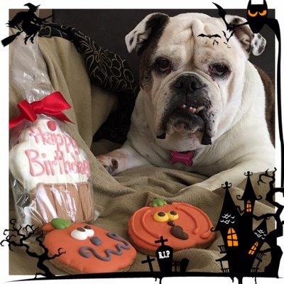 Halloween birthday girl