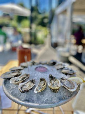 House dozen oysters