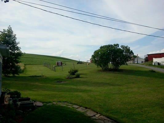 The view from the porch of the hill and crops