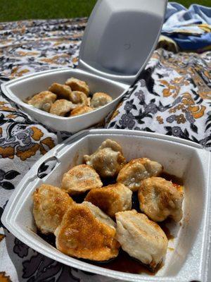 Chicken Dumplings