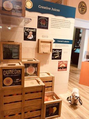 Dunedin History Museum