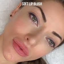 Soft lip brush