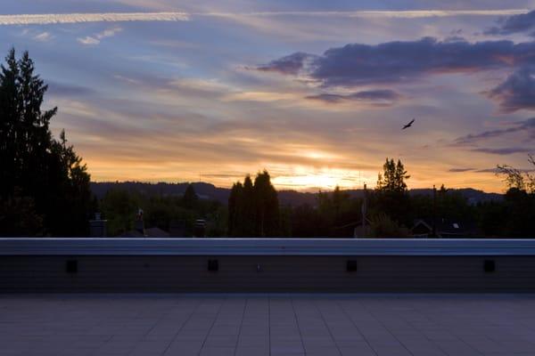 Breathe Building Rooftop View