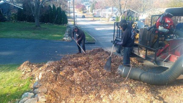 Fall cleanup