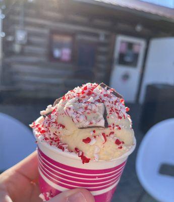 egg nog ice cream with peppermint bark - small