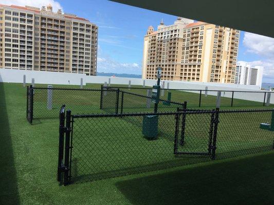 Artificial Grass Dog Park